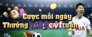 m88cvf